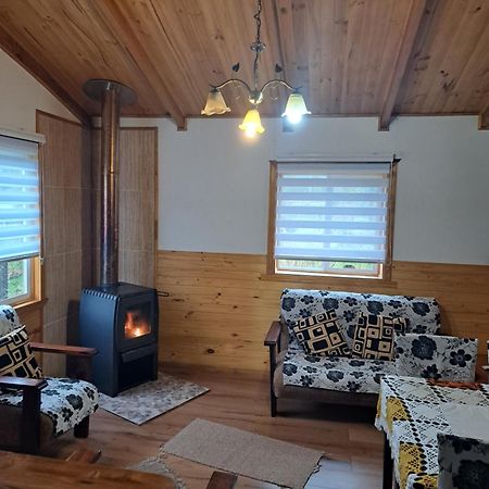 Cabanas Robinson Puyuhuapi Exterior foto